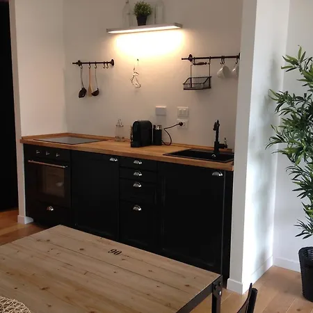 Apartment Industia Loft *