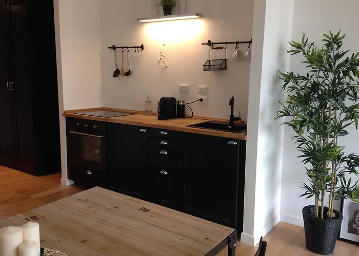 Appartement Industia Loft *